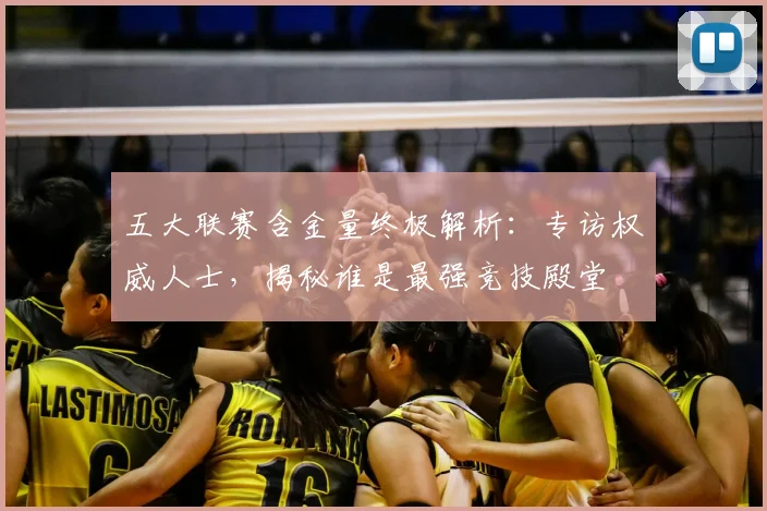 五大联赛含金量终极解析:专访权威人士,揭秘谁是最强竞技殿堂